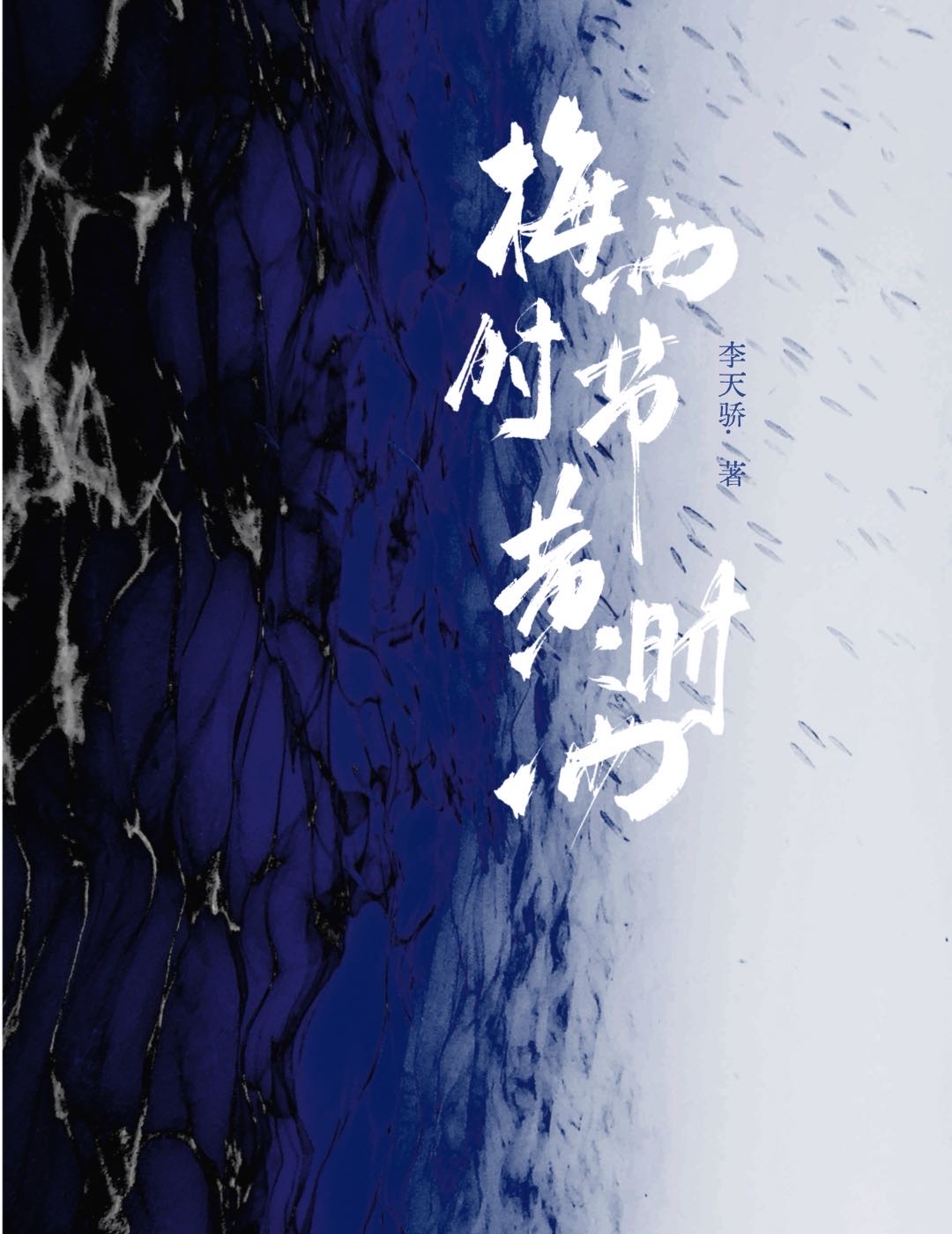 梅雨时节小说免费阅读